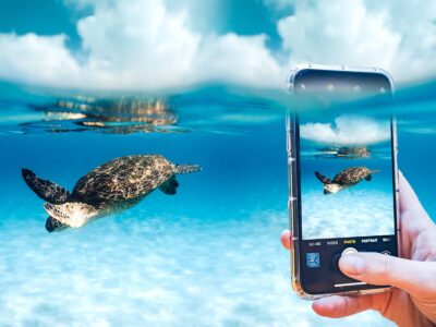 Can You Snorkel with a Phone? 3 Waterproof Warnings & Options