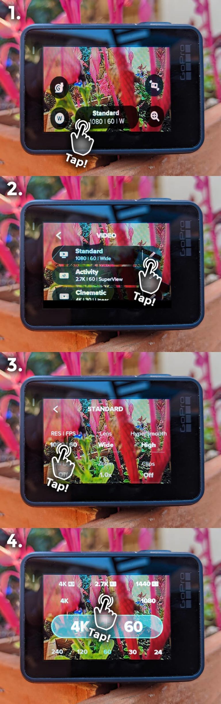 How to Use a GoPro for Snorkeling 5 Easy Steps with Photos