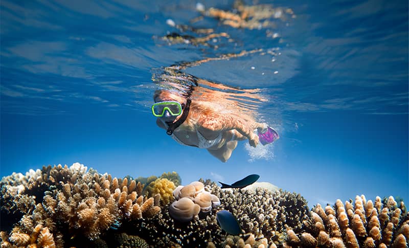 Is snorkeling hard for beginners? A woman snorkeling in a coral reef