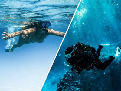 A snorkeler and a scuba diver
